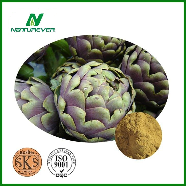 Artichoke Extract Liver Health Formula