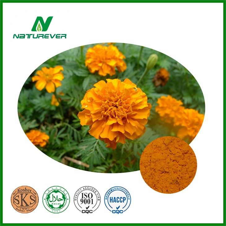 Tagetes Erecta Extract