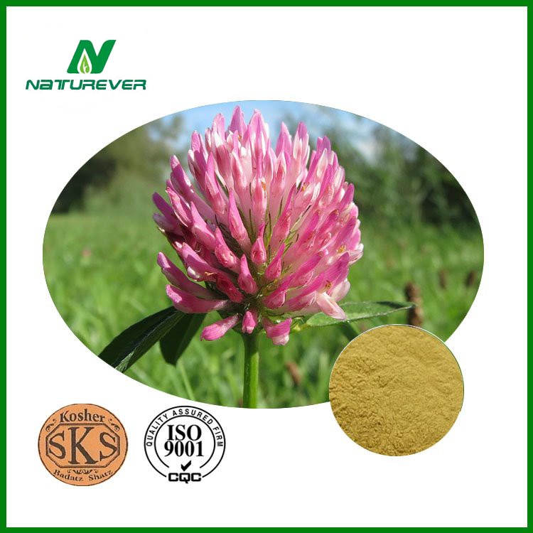 Red Yeast Rice Extract Powder