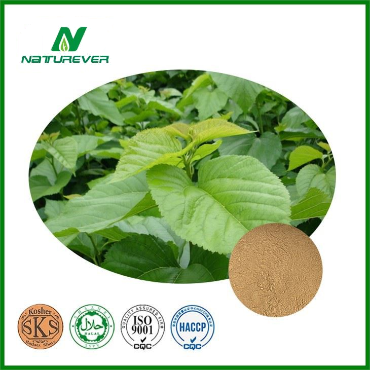Mulberry Leaf Extract Supplement