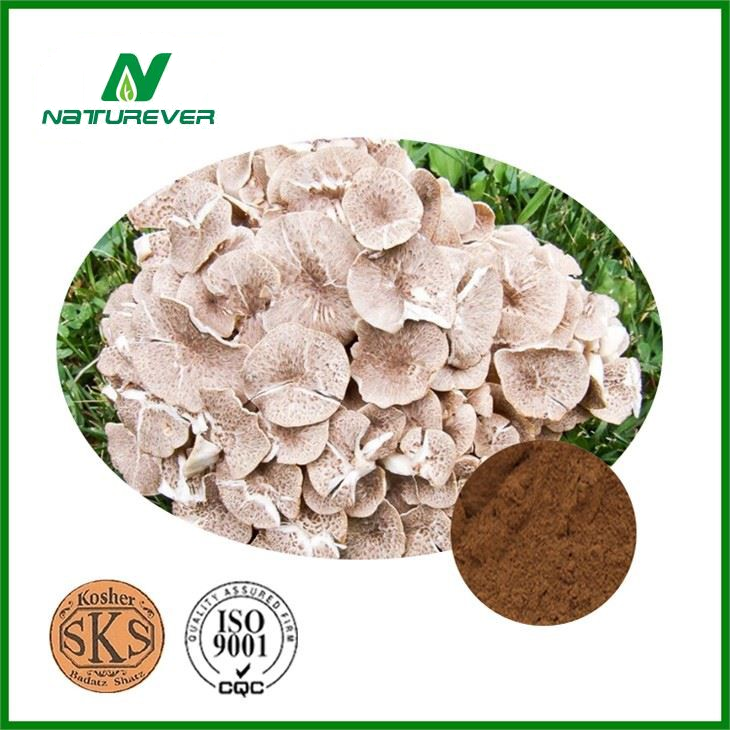 Polyporus Umbellatus Extract