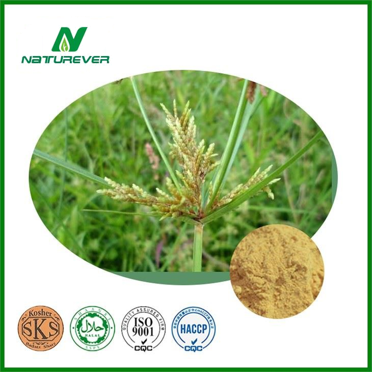 Cyperi Extract