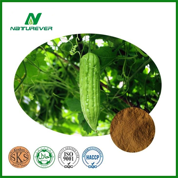 Bitter Melon Extract- Saponins