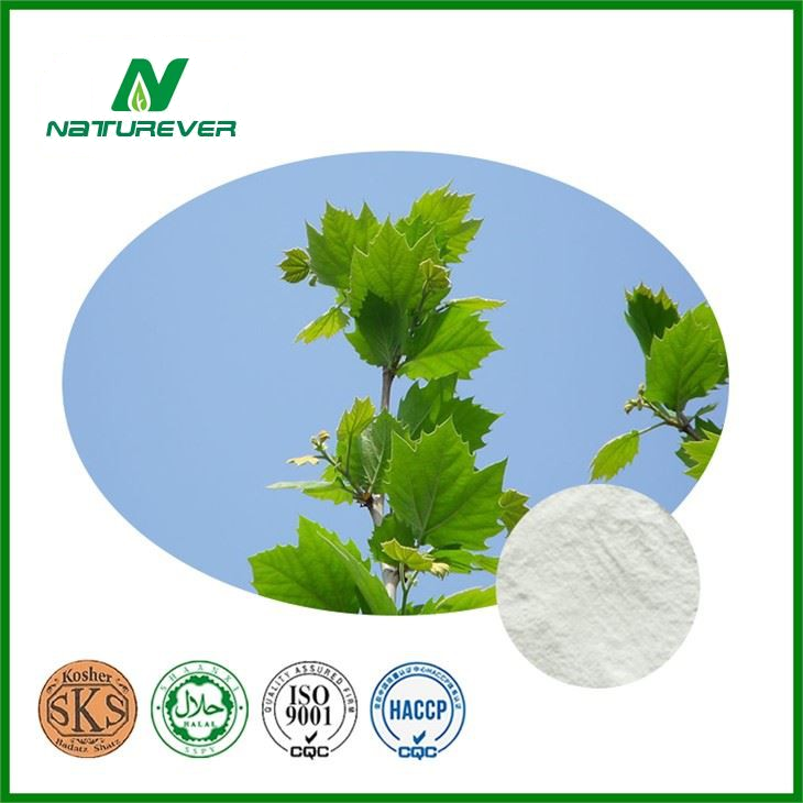 White Birch Bark Extract