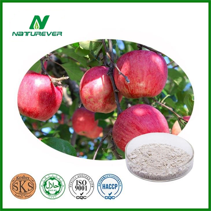 Phloretin Powder