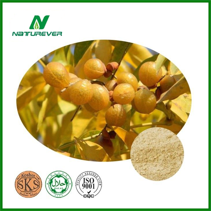 Sapindus Mukorossi Extract