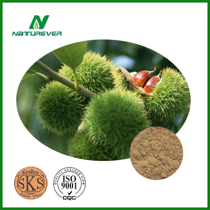 Chestnut Leaf Extract