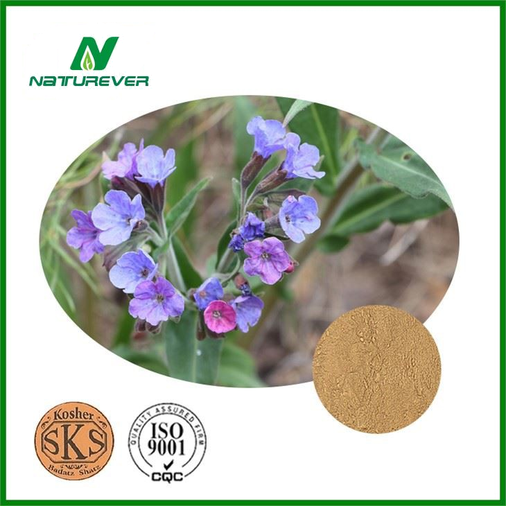 Lungwort Leaf Extract