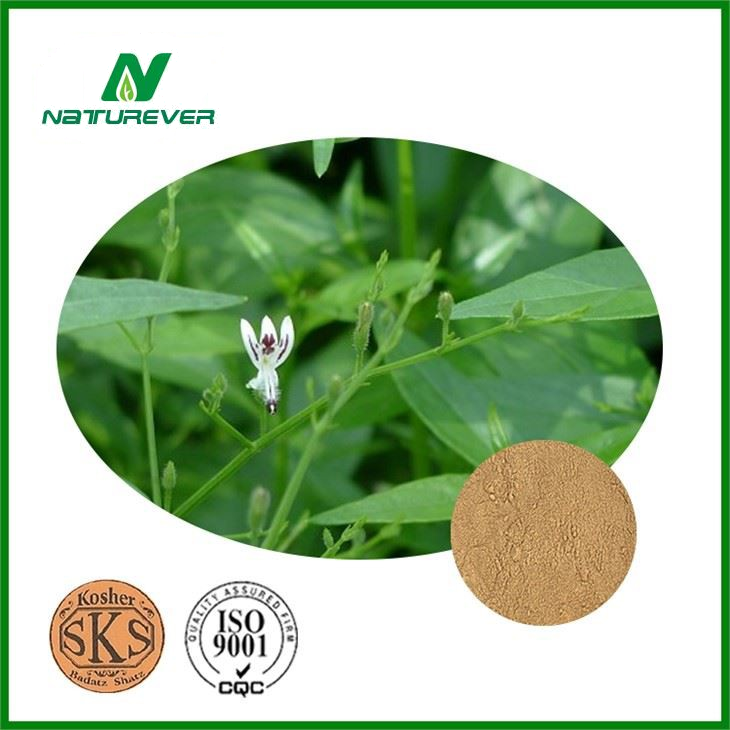 Andrographis Paniculata Leaf Extract