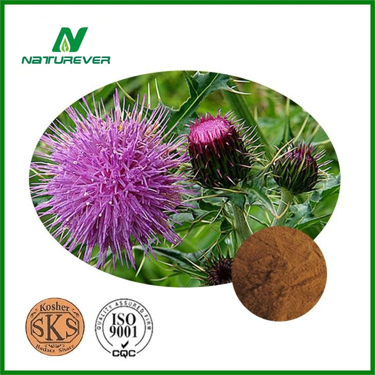 Milk Thistle Extract Powder