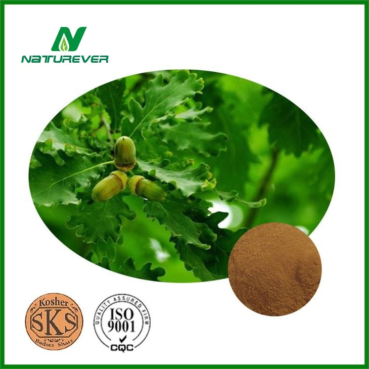 Quercus Cortex Extract