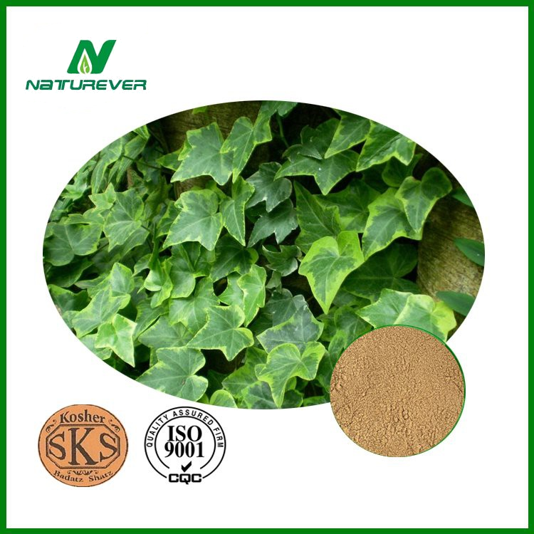 Ivy Leaf Supplement