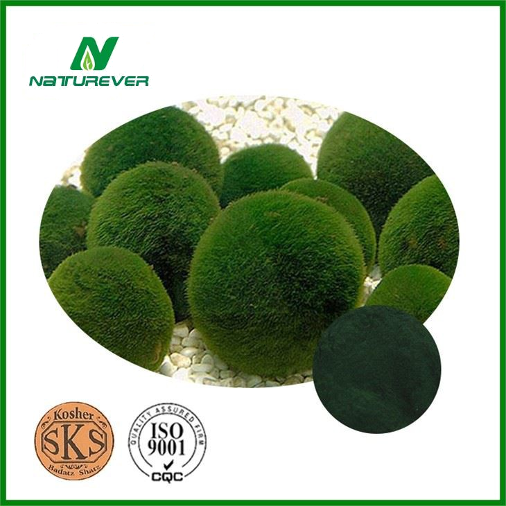 Chlorella Extract