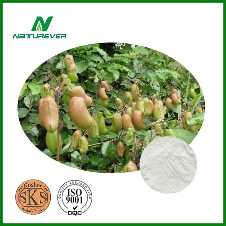 Griffonia Seed Extract Powder