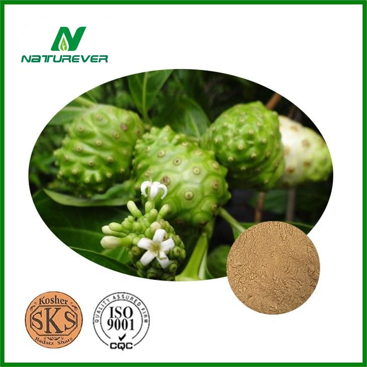 Noni Product Extract