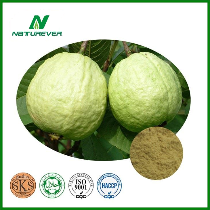Guava Extract Powder