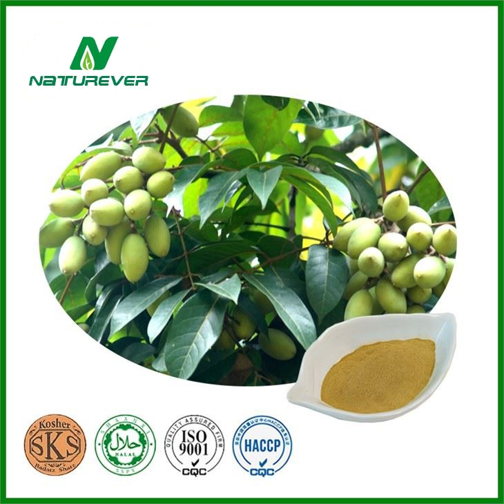 Oleuropein powder