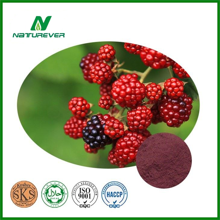 Natural Raspberry Extract