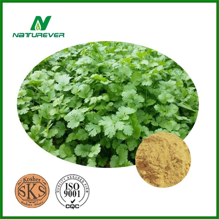 Coriander Extract