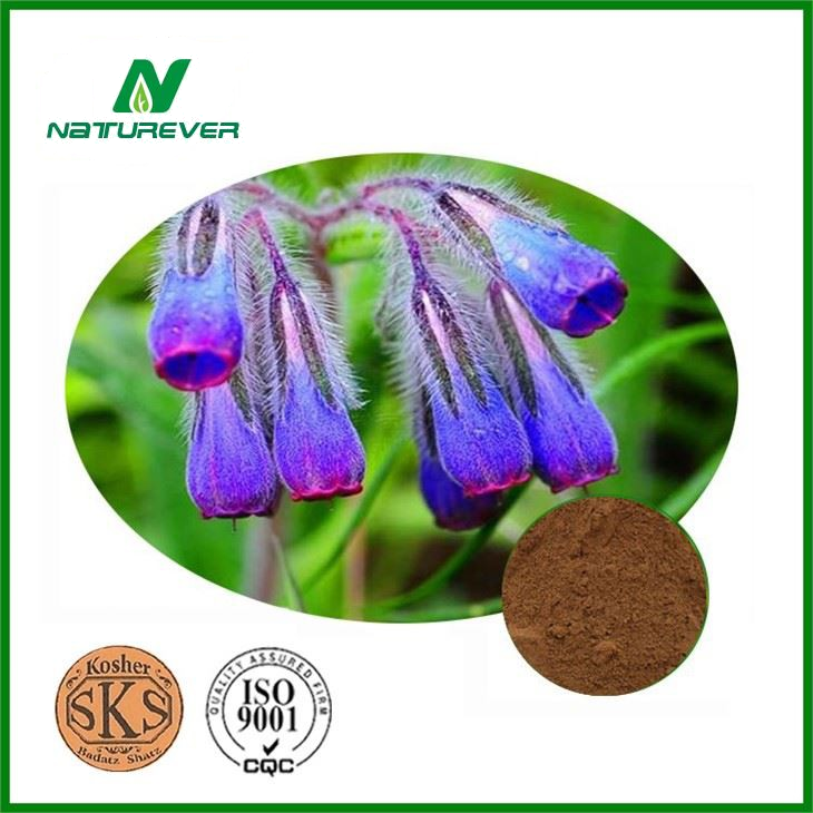 Purple Gromwell Extract