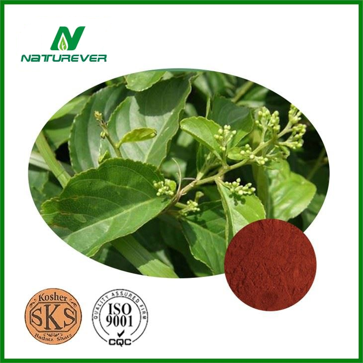 Thunder God Vine Extract