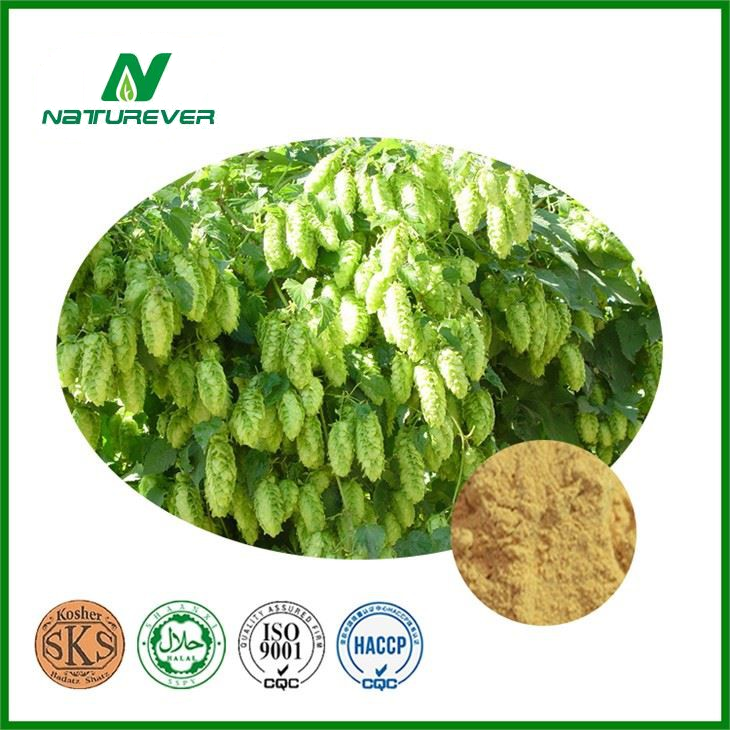 Hops Extract Powder