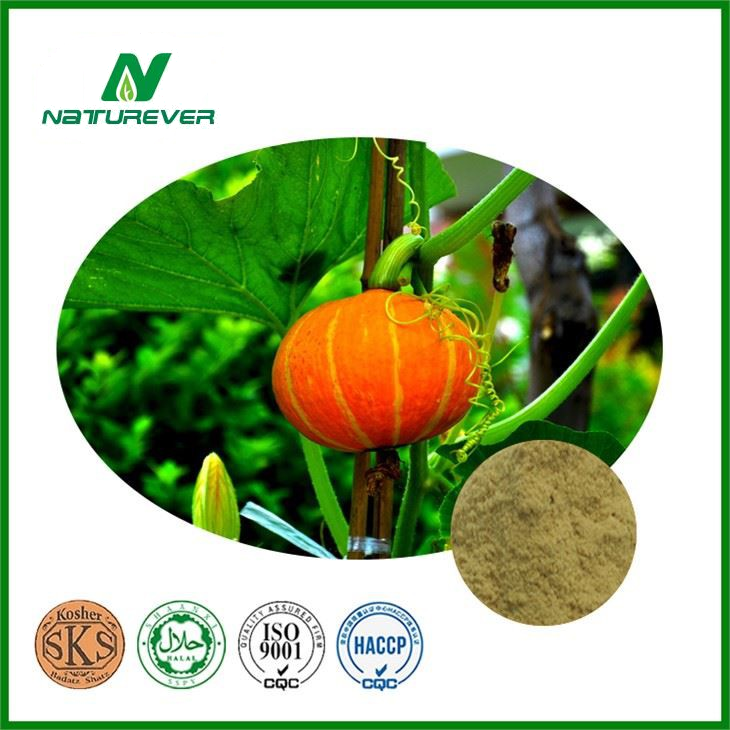 Pumpkin Seed Extract Supplement