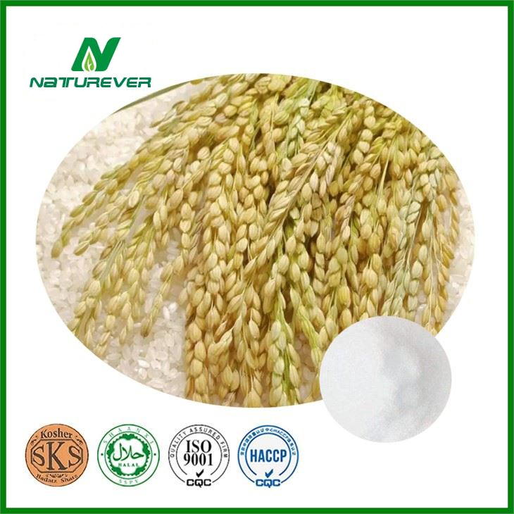 Gamma Oryzanol Powder