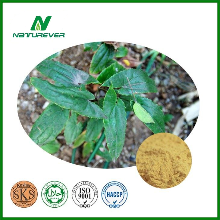 Epimedium Extract Powder