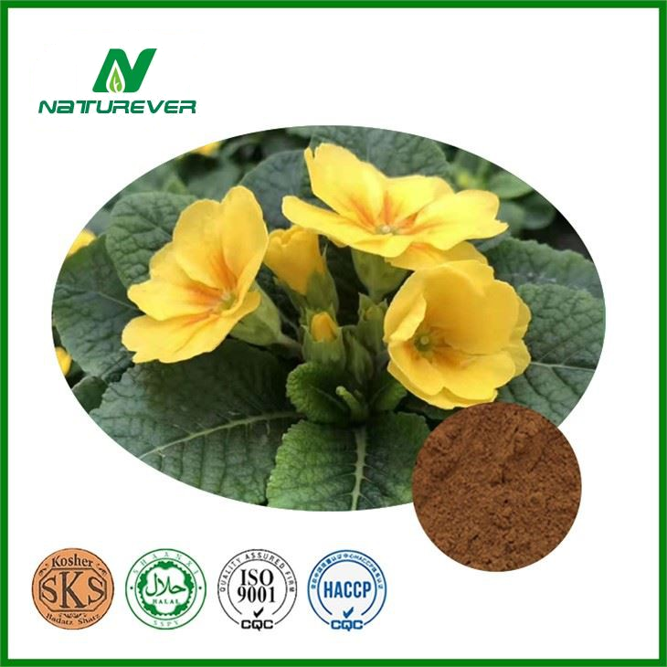 Primula Extract