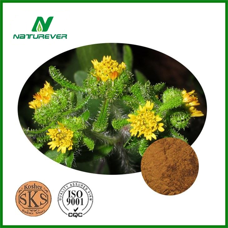Sigesbeckia Orientalis Extract