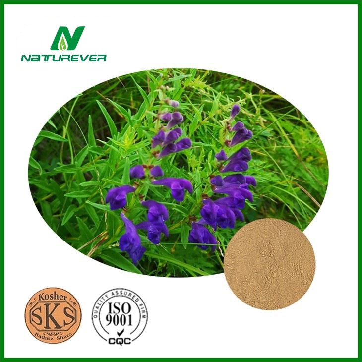 Scutellaria Baicalensis Extract
