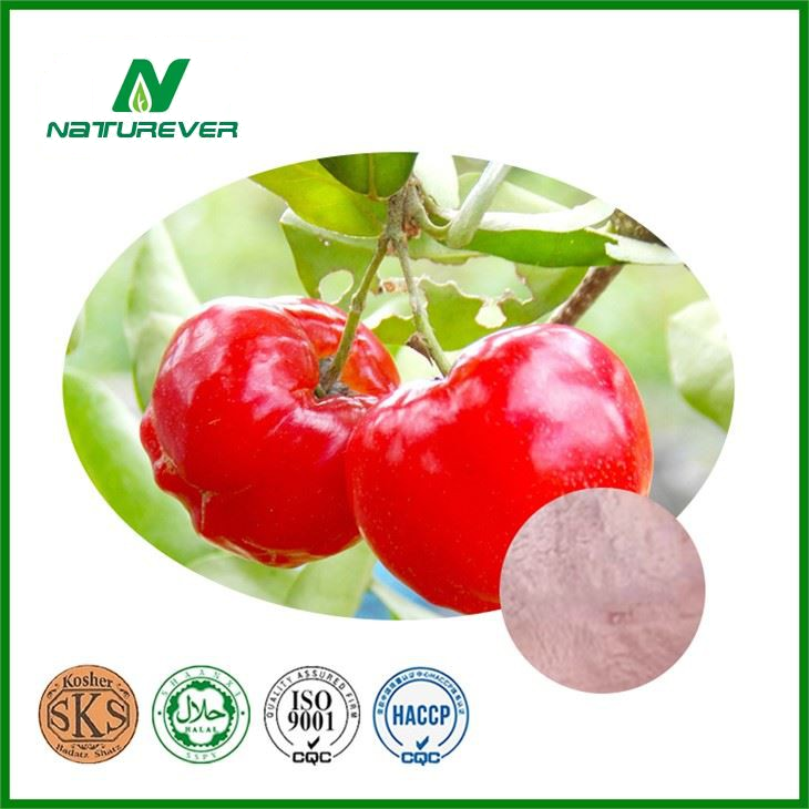 Acerola Cherry Extract Powder