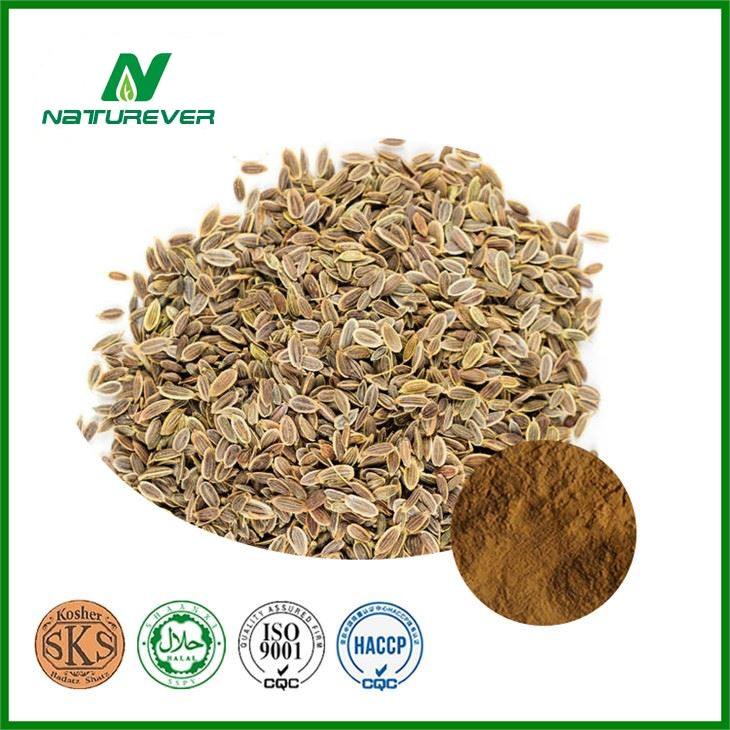 Dill Seed Extract