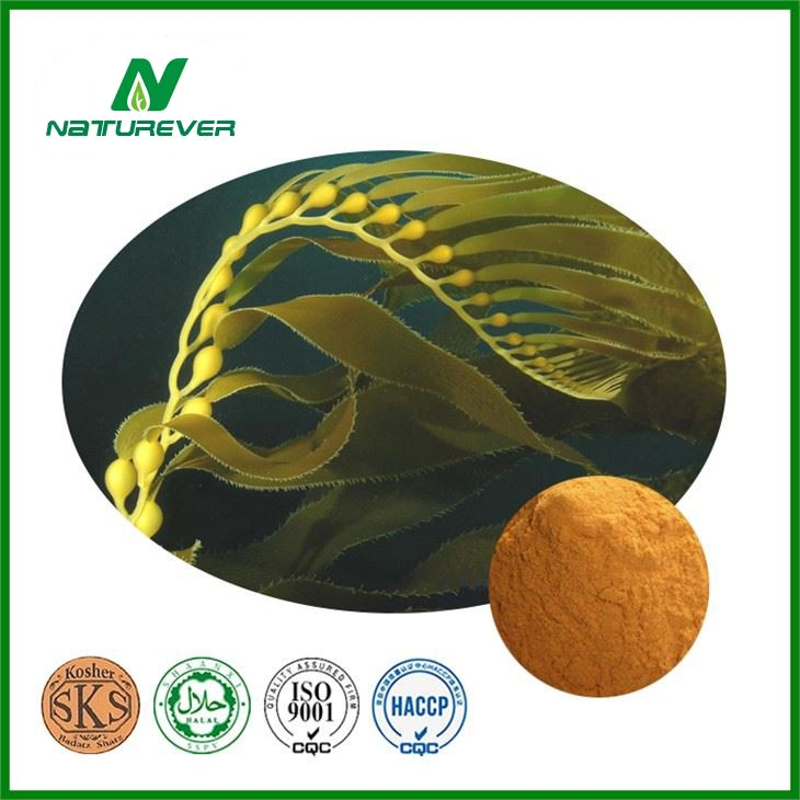 Brown Alga Extract