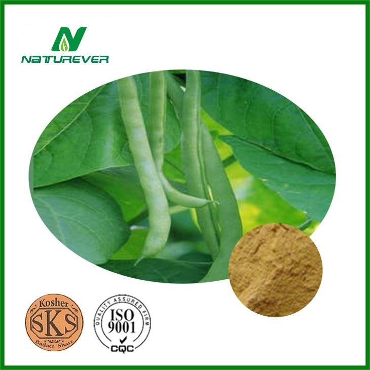 Kidney Bean Extract Supplement