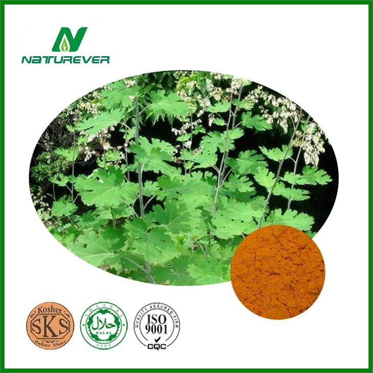 Macleaya Cordata Extract for Fungicide