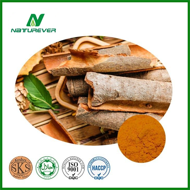 Cinnamon Bark Extract Powder