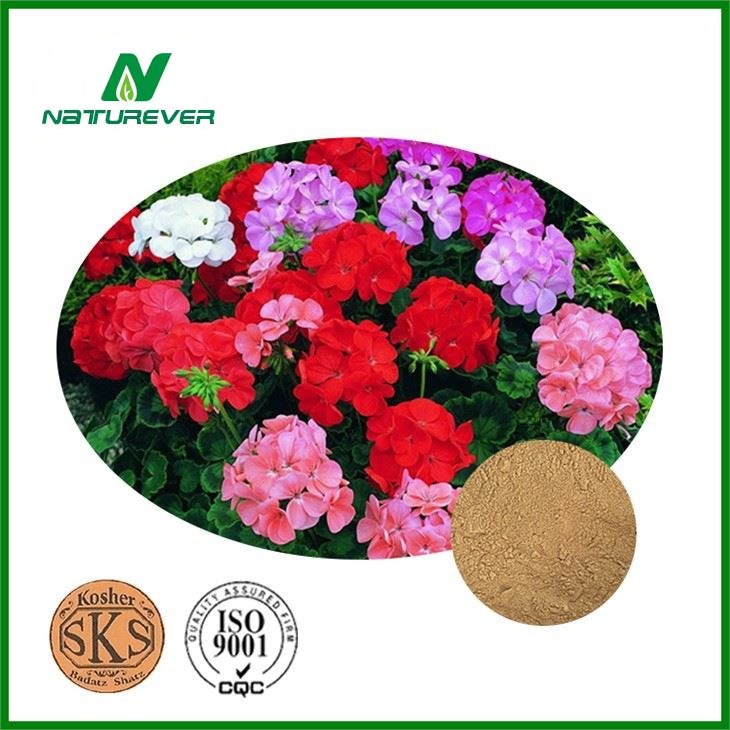 Pelargonium Sidoides Extract