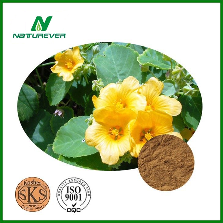 Sida Cordifolia Extract