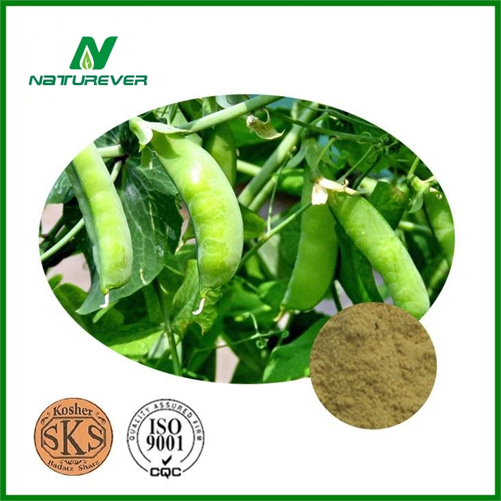 Pisum Sativum Protein