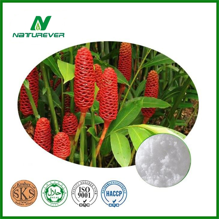 Zingiber Zerumbet Extract