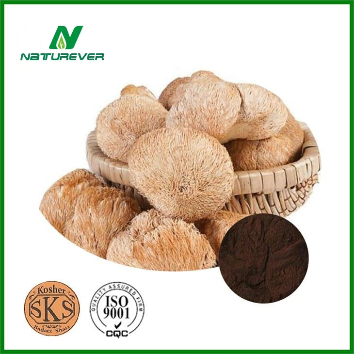 Lion's Mane Mushroom Extract Powder