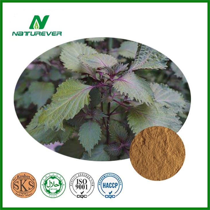 Perilla Leaf Extract