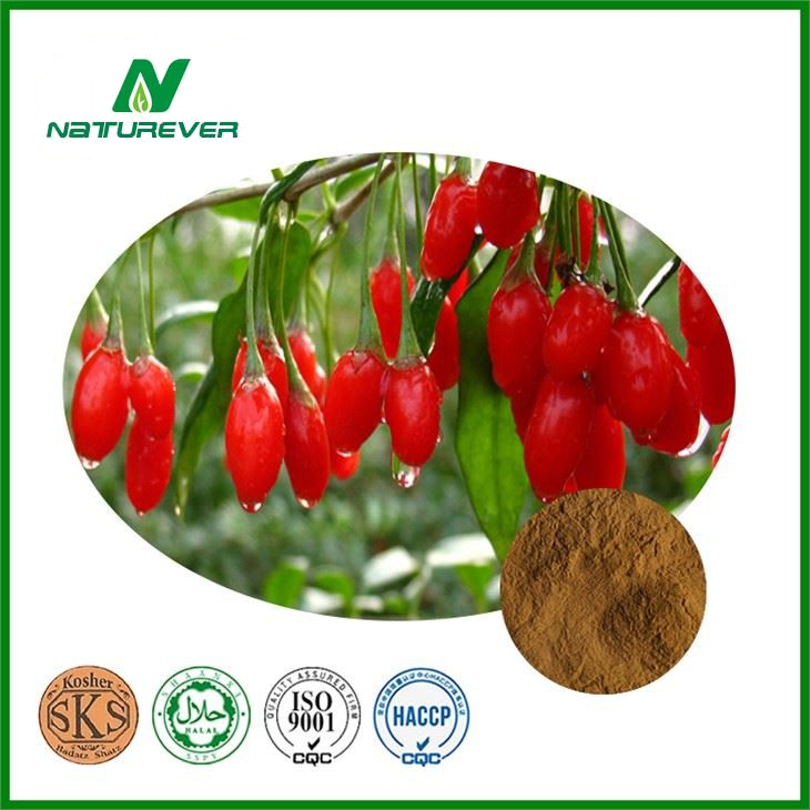 Wolfberry Extract