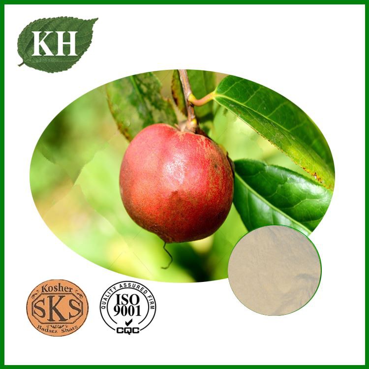 Camellia Oleifera Seed Extract