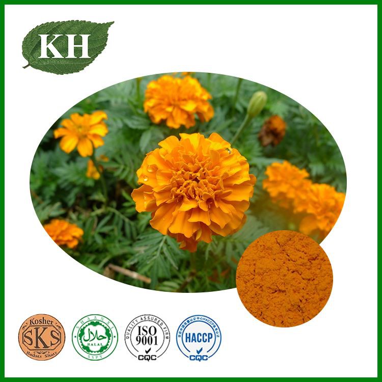Marigold Extract