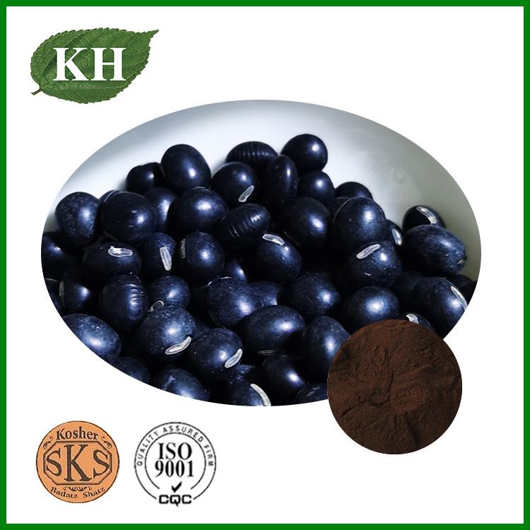 Black Soybean Hull Extract
