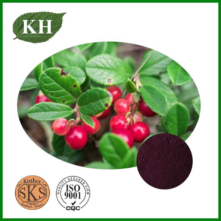 Bilberry Extract