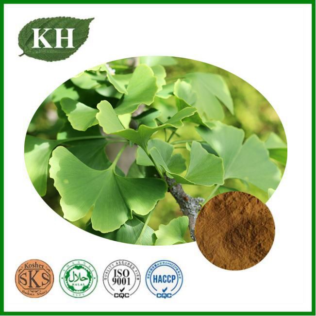 Ginkgo Biloba Extract